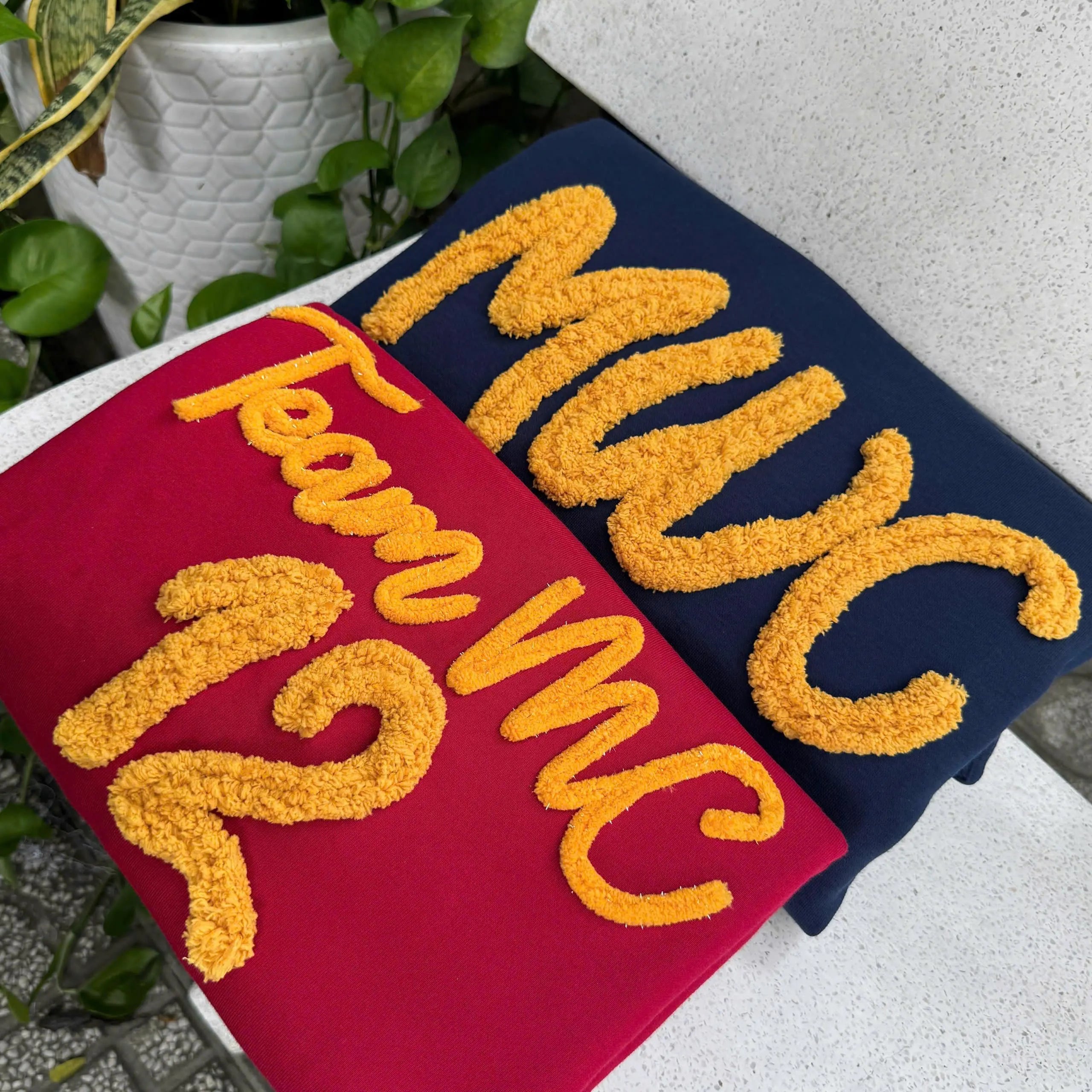 Chenille Team Spirit Sweatshirt, Custom Embroidered Crewneck, Personalized School Color Mascot Pullover, Coach Student Gift