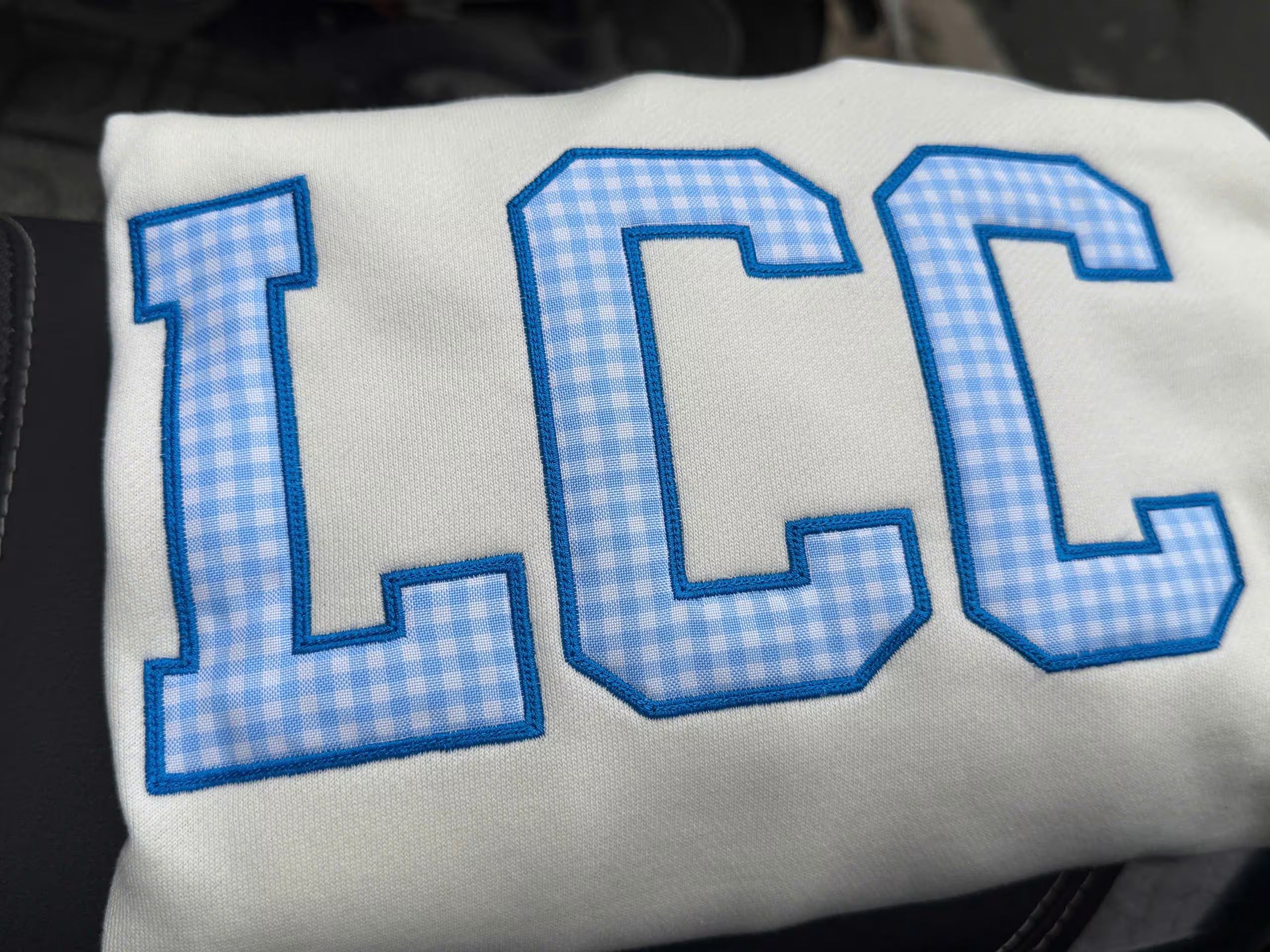 Gingham State Applique Sweatshirt, Custom Hometown Crewneck, Personalized Local Pride Pullover, Campus Travel Gift